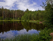 national-park-orlovskoye-polesye-nature.jpg